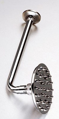Picture of Gio Shower Rose  in (Chrome)