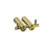 Picture of Blutide Brushed Brass Double Robe Hook