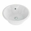 Picture of Boutique Baths Orchid Counter Top Basin