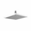 Picture of Liana Square Shower Rose