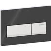 Picture of ACT PLATE ALPHA 50 D-FLUSH J/BLACK RAL 9005