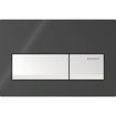 Picture of ACT PLATE ALPHA 50 D-FLUSH J/BLACK RAL 9005