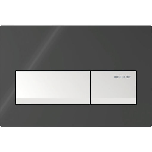 Picture of ACT PLATE ALPHA 50 D-FLUSH J/BLACK RAL 9005