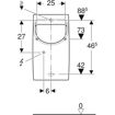 Picture of Smyle Urinal (Concealed Flush Control)
