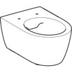 Picture of Geberit Icon Rimfree Wall Hung Pan (No Seat)