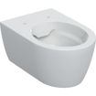 Picture of Geberit Icon Rimfree Wall Hung Pan (No Seat)