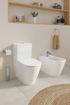 Picture of D-Neo Toilet close-coupled White High Gloss 650 mm