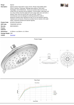 Picture of Cobra Spectra 4 Function Shower Head