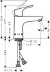 Picture of Hansgrohe Decor 100 Single Lever Basin Mixer