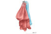 Picture of Bathroom Butler 8511 Double Robe Hook Polished